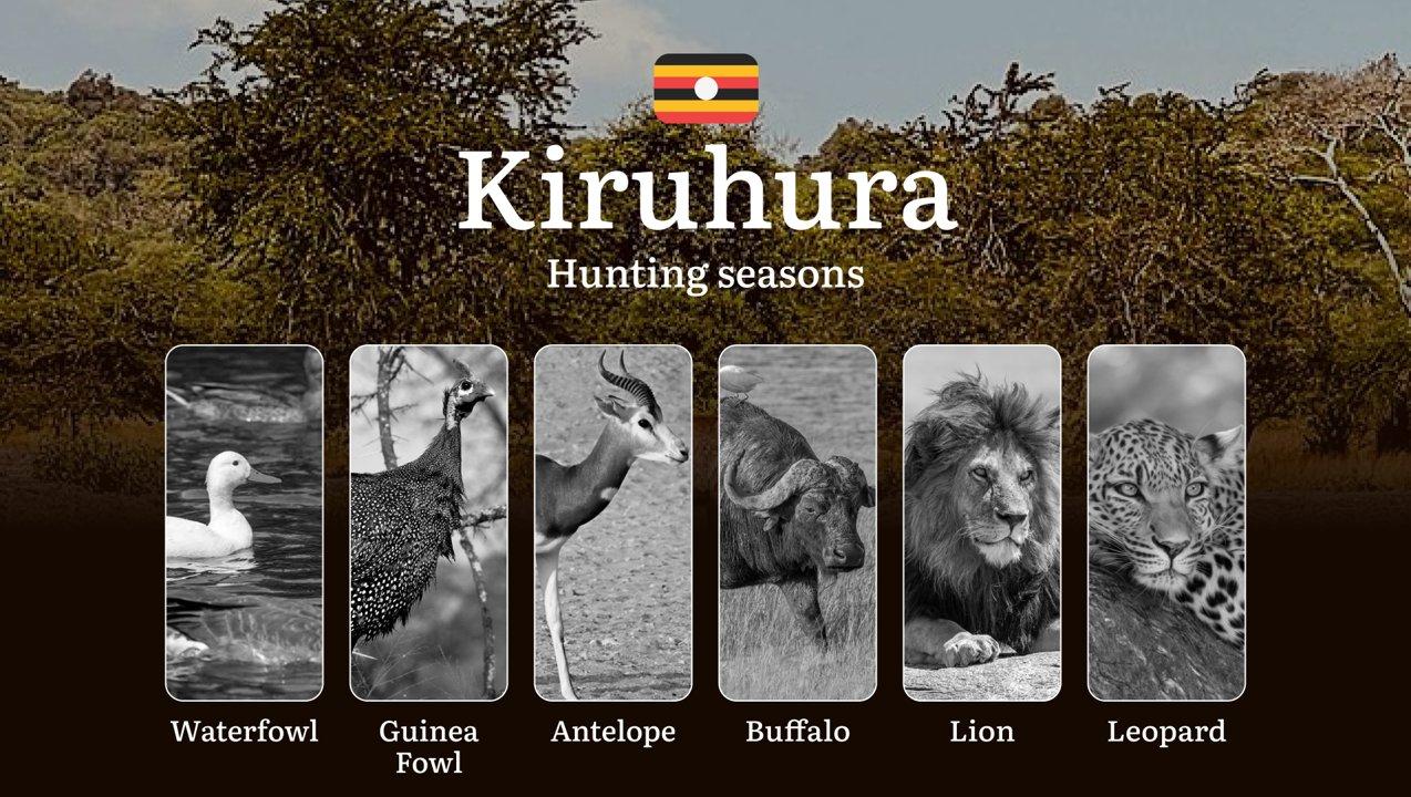 Seasonal Hunting Periods in Kiruhura: Limits and Seasonal Prohibitions, Licensing Conditions, Fines and Legal Effects of Non-Compliance, Strategic Preparation, Best Hunting Times, Gear Choices