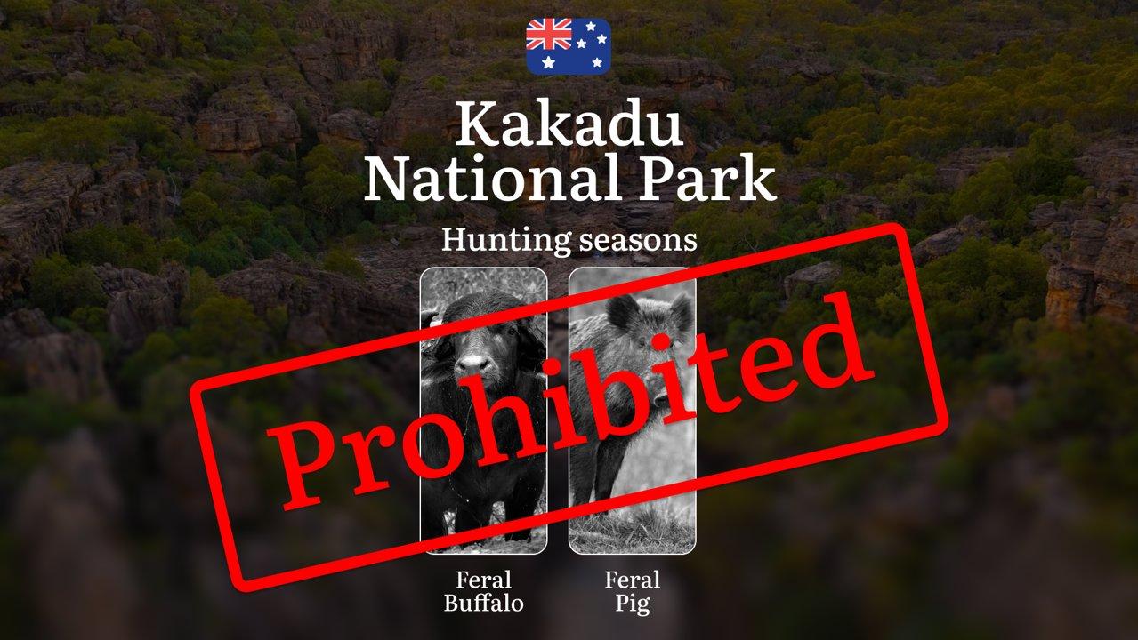 Tracking the Wild Rhythms: Hunting Calendar, Seasons and Wildlife Access in Kakadu National Park

Hunting Regulations and Seasonal Frameworks in Kakadu National Park

Kak