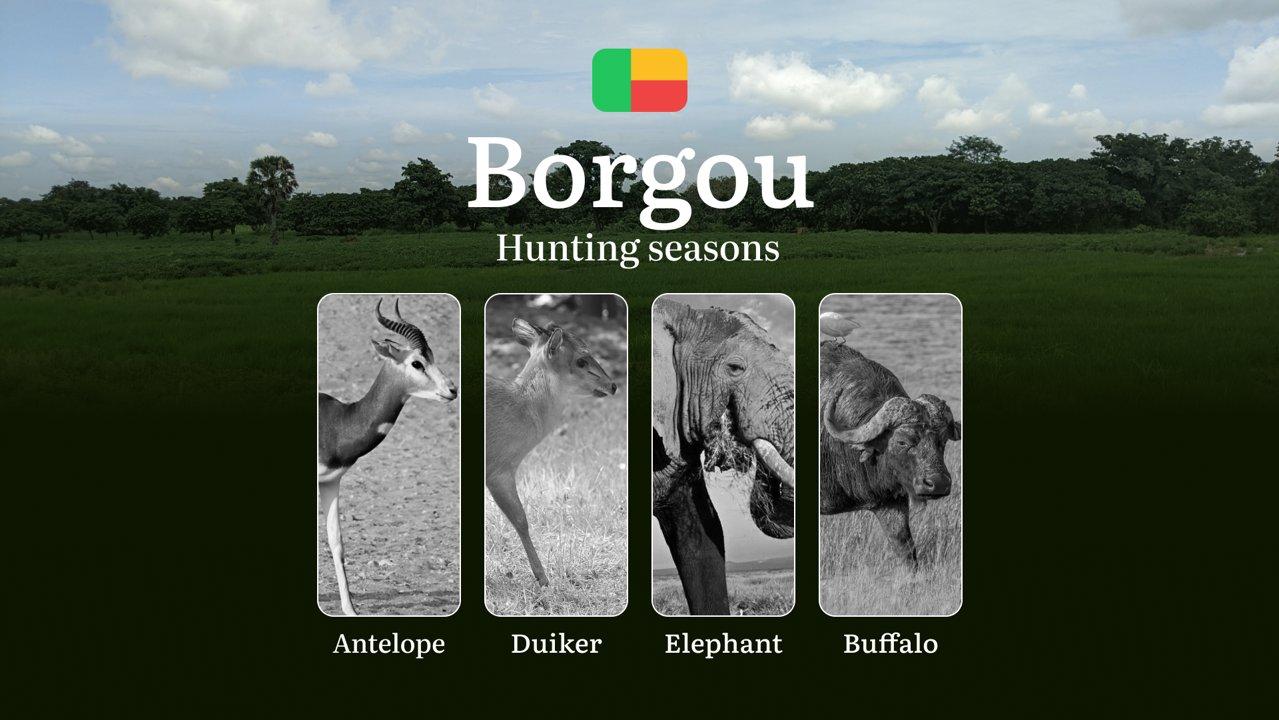 Dates of Hunting in Benin: Time and Seasons, Hunting Regulations, Licenses and Periods in the BORGOU Region, Restrictions and Bans
