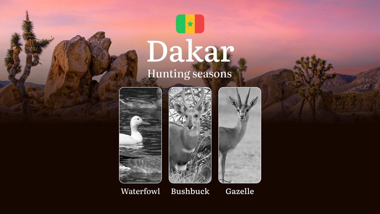 Hunting Seasons in Senegal: Timing and Seasonality of Hunting, Licenses and Rules in the DAKAR Region, Tips and Tactics for Hunters