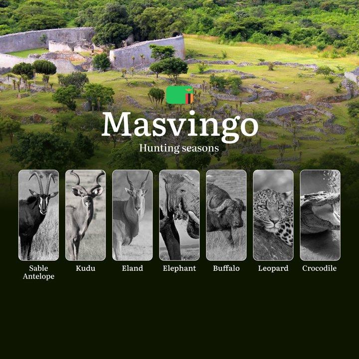 When the Savannah Calls: Mastering Masvingo's Hunting Seasons and Calendar for Legendary Trophies