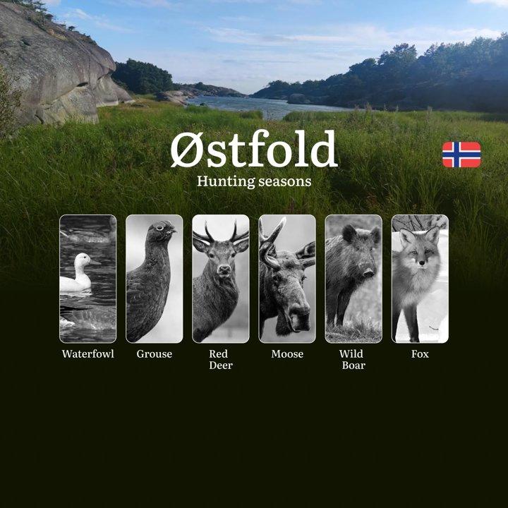 Hunting Periods and Local Rules in Østfold: Species You Can Hunt Throughout <strong>the</strong> Year, Seasonal Activity of Game, and <strong>the</strong> Steps to Get a 