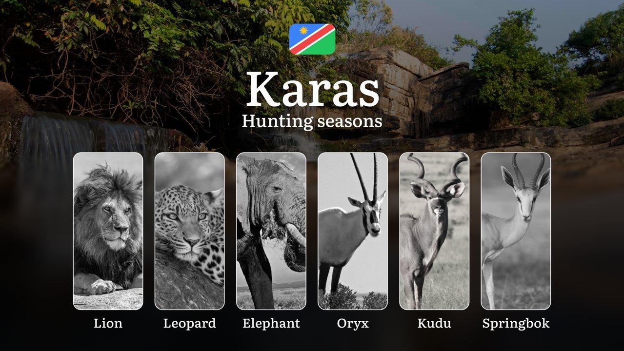 Seasonal Hunting Periods in Karas, Namibia: Year-Round Species Access, Game Activity by Season, and Getting Legal Permission to Participate