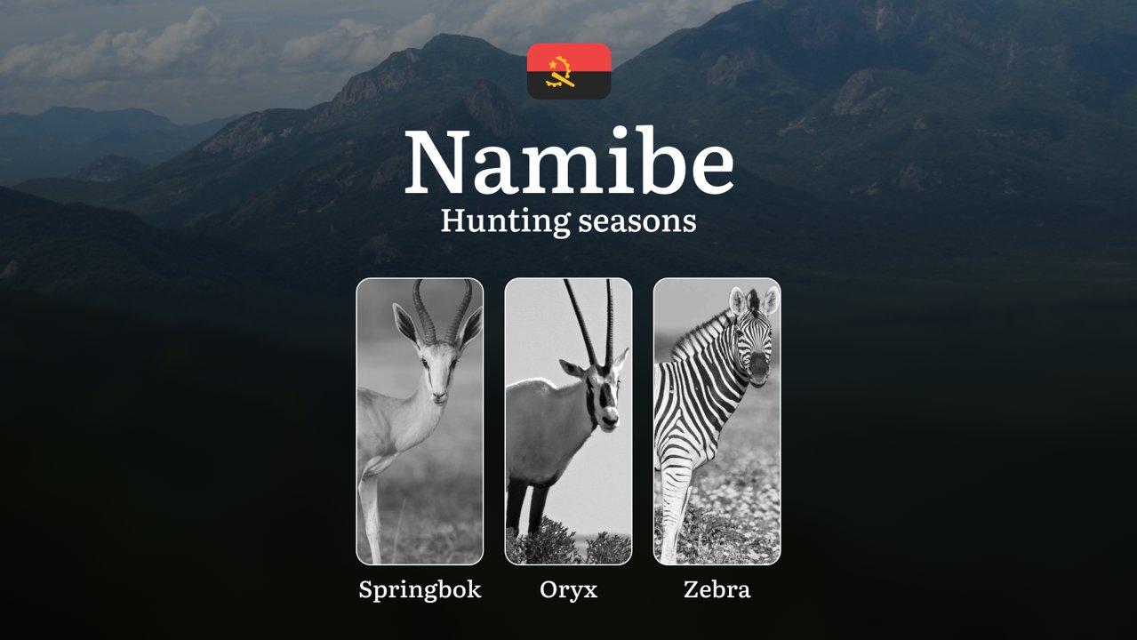 Hunting Laws and Seasons in Namibe: General Hunting Rules, Permits, Restrictions & Time-Honored Events 