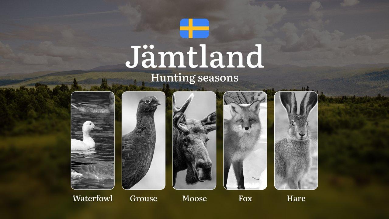 Hunting Periods in JÄMTLAND: When and What You Can Hunt, Seasonal Game Patterns, and Everything You Need to Know to Obtain a Valid Hunting License in the Region

Hunting 