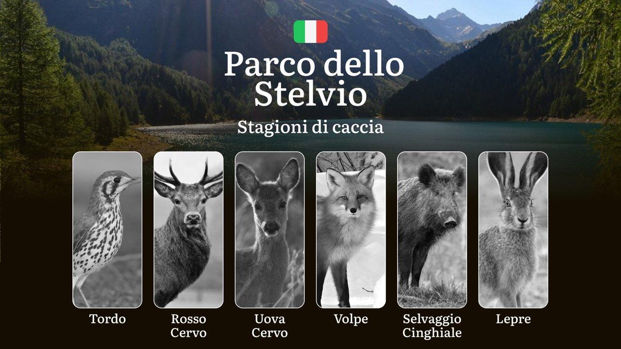 Caccia nel Parco dello Stelvio: Calendario Venatorio Completo, Specie Cacciabili e Segreti per Ogni Stagione tra Camosci e Cervi