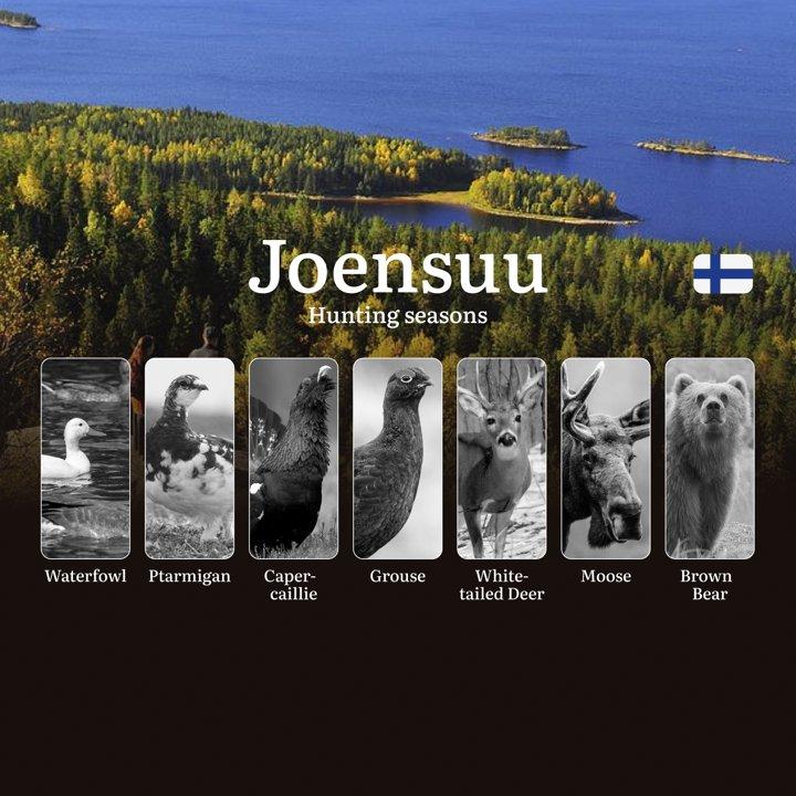 Hunting Seasons in JOENSUU: Key Dates, Game Activity, Restrictions, Required Licenses and Expert Tips