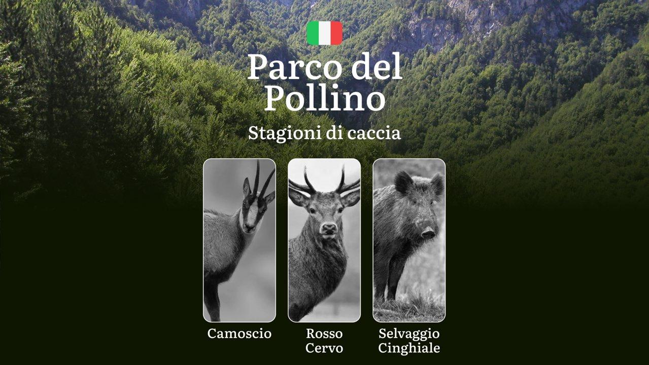 Ai Confini del Parco del Pollino: Calendario di Caccia con Date e Zone Consentite per una Pratica Legale

Il Parco del Pollino tra Basilicata e Calabria
A cavallo tra Bas