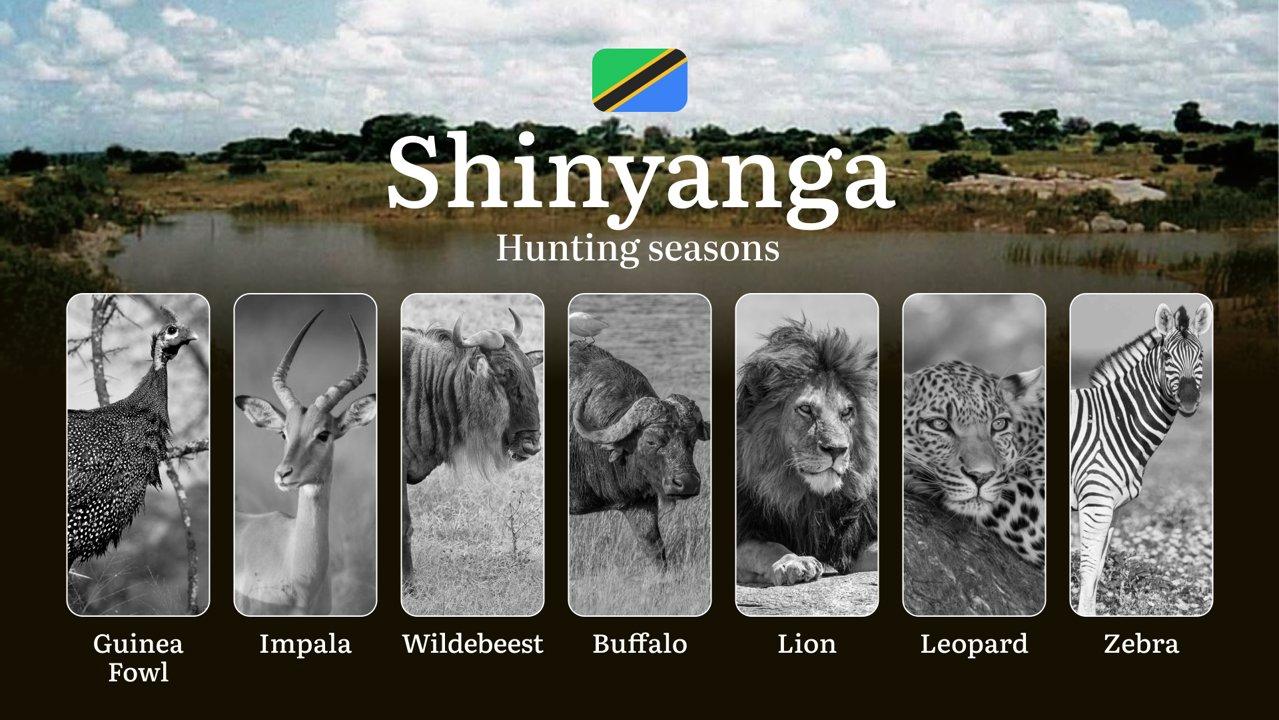 Shinyanga: Hunting Timeframes, Species and Seasonal Bans, Participating in the Hunt, Getting Licensed, Penalties That May Spoil Season, Expert Recommendations, Timing, Tools