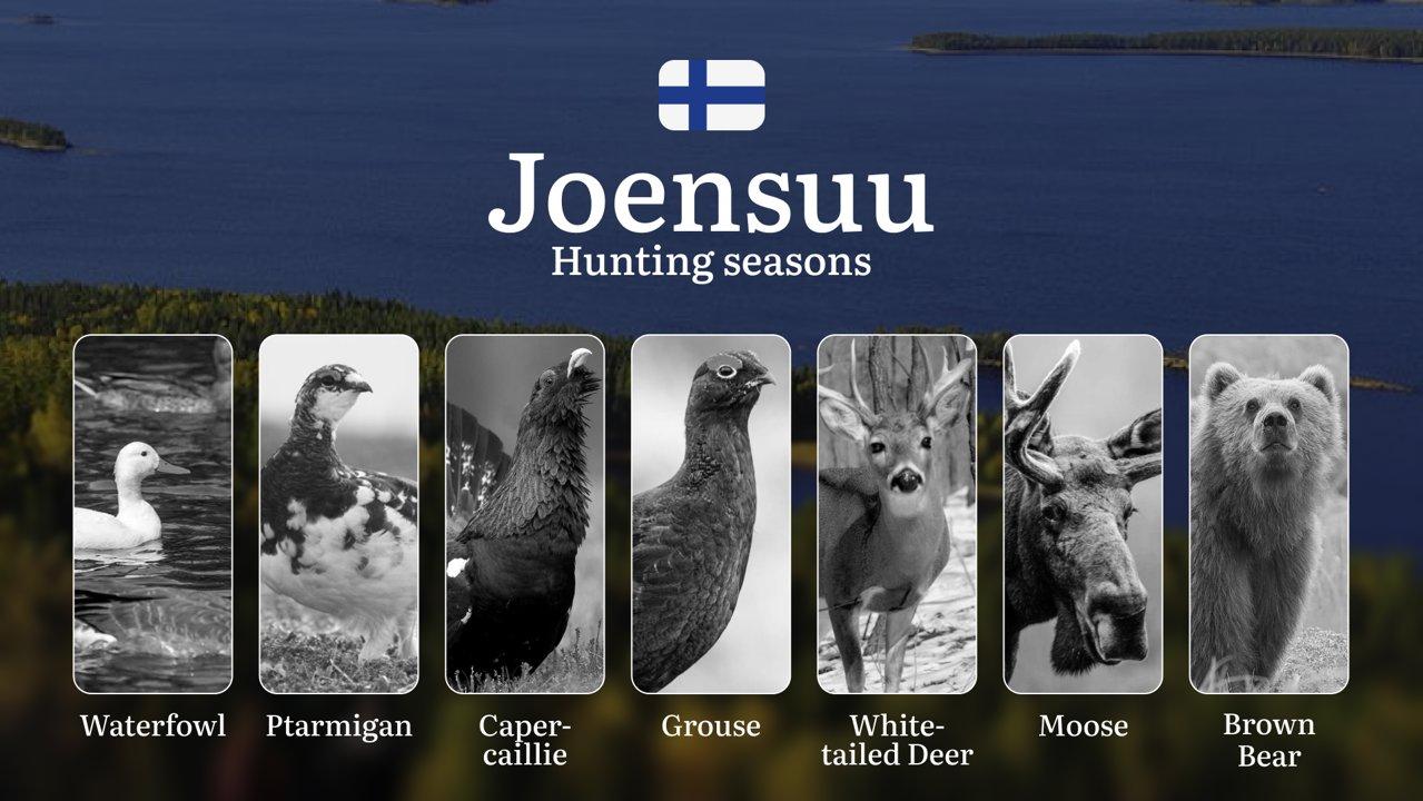 Hunting Seasons in JOENSUU: Key Dates, Game Activity, Restrictions, Required Licenses and Expert Tips

Joensuu, located in the heart of Eastern Finland, is a prime destin