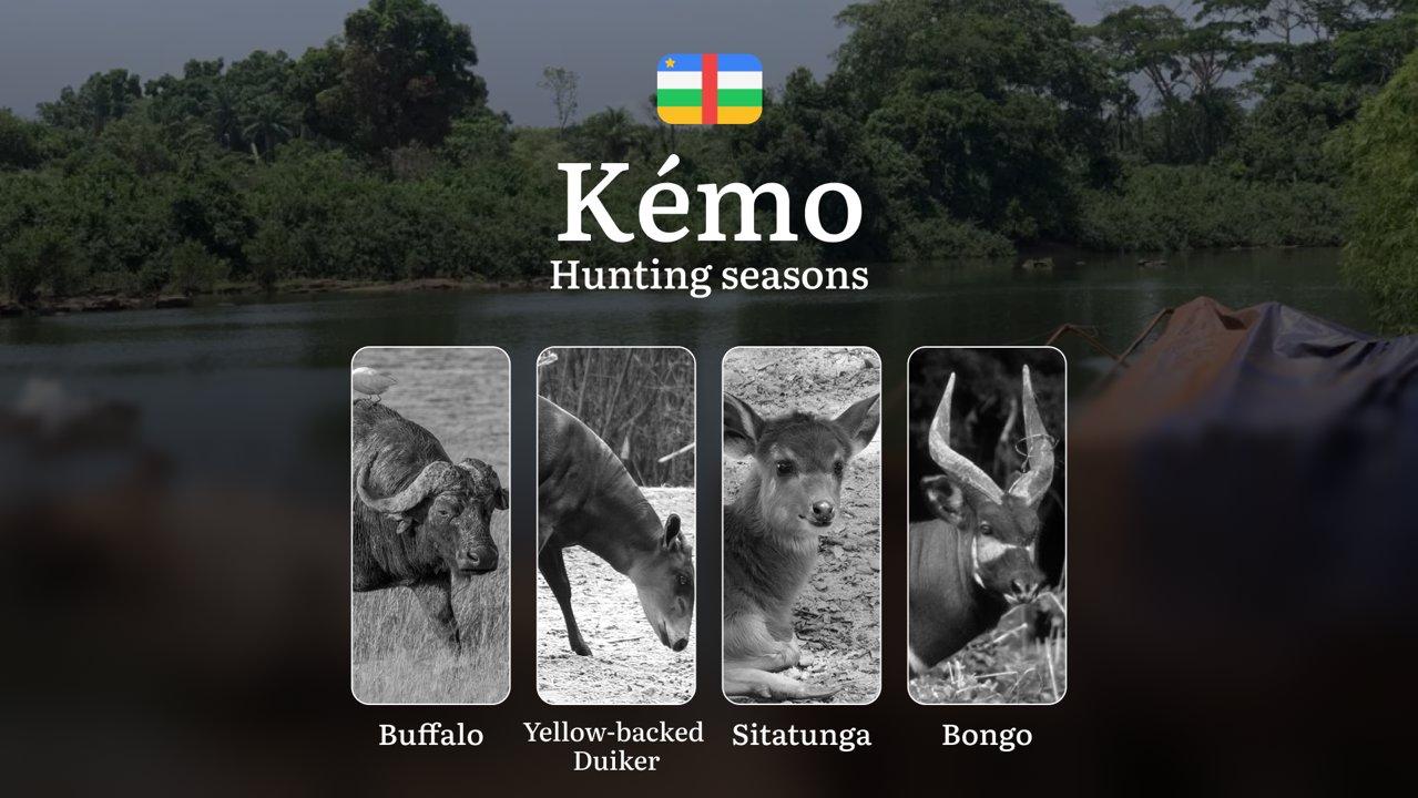 Hunting Seasons of Kémo: Exploring General Hunting Rules, Legislation and Permits, Hunter Events and Cultural Experiences

General Hunting Rules and Seasons in Kémo

The 