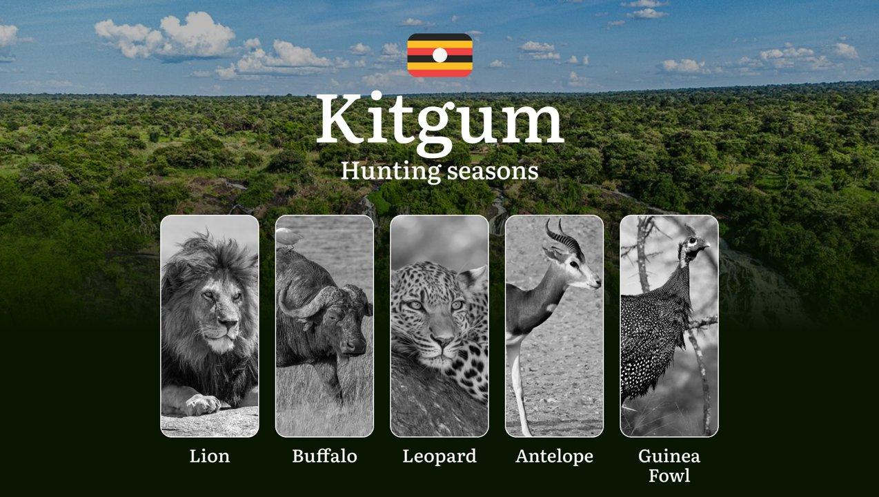 Kitgum: Designated Hunting Periods, Legal Limits and Seasonal Restrictions, Licensing Rules, Penalties for Violations, Planning, Timing, and Gear

Hunting in Kitgum offer