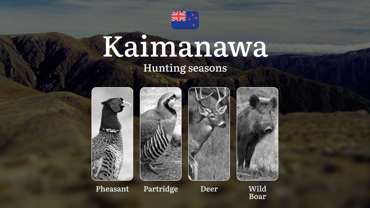Hunting Seasons in New Zealand, Features of the KAIMANAWA Ranges Region: Rules and Seasonality of Hunting, Prohibitions and Restrictions, Penalties for Violating Hunting
