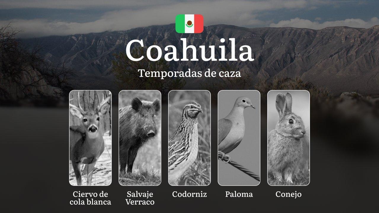 Temporadas y períodos de caza en Coahuila: Fechas, Especies y Regulaciones, Cómo Obtener un Permiso y Evitar Multas