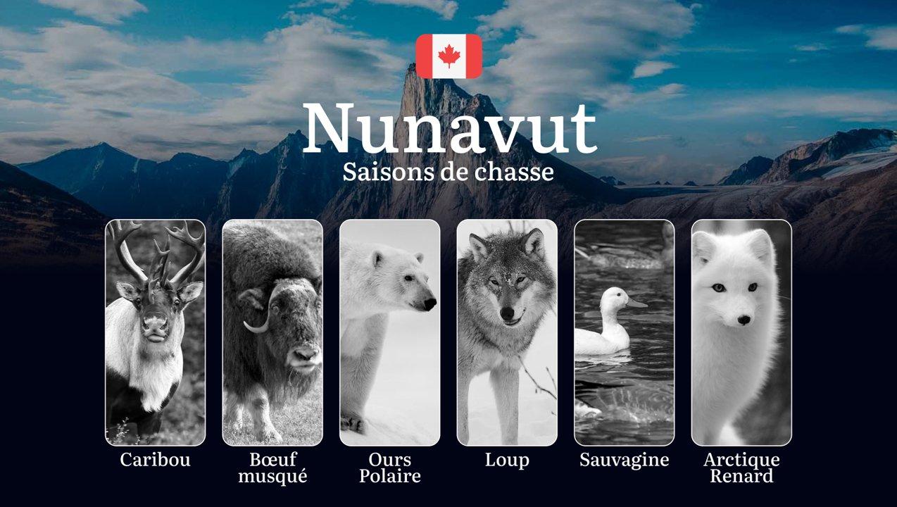 Saisons <strong>de</strong> chasse au NUNAVUT (Canada): Règles Essentielles, Permis Indispensables et Meilleures Périodes 

Le Nunavut, territoire nordique du Canada, off
