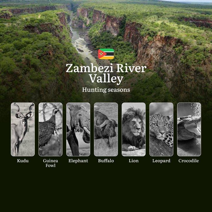 Mastering the Hunt: Optimal Seasons, Trophy Game, and Essential Regulations in Mozambique’s Zambezi River Valley