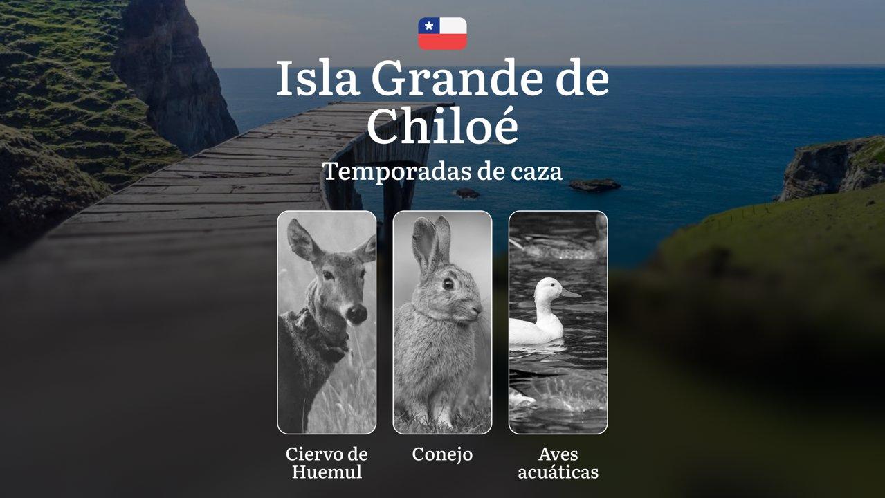 La Isla Grande de Chiloé, Chile: temporadas de caza, permisos, normativas y mejores épocas para la caza, restricciones y prohibiciones