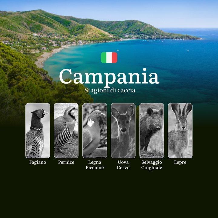 Caccia in Campania: Stagioni e Regole per Cinghiali, Lepri e Beccacce tra Coste e Appennino
