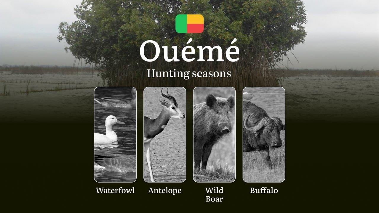 Hunting Dates in Benin, OUÉMÉ Region: Hunting Periods and Time, Permits and Rules, Practical Tips and Tactics for Hunters