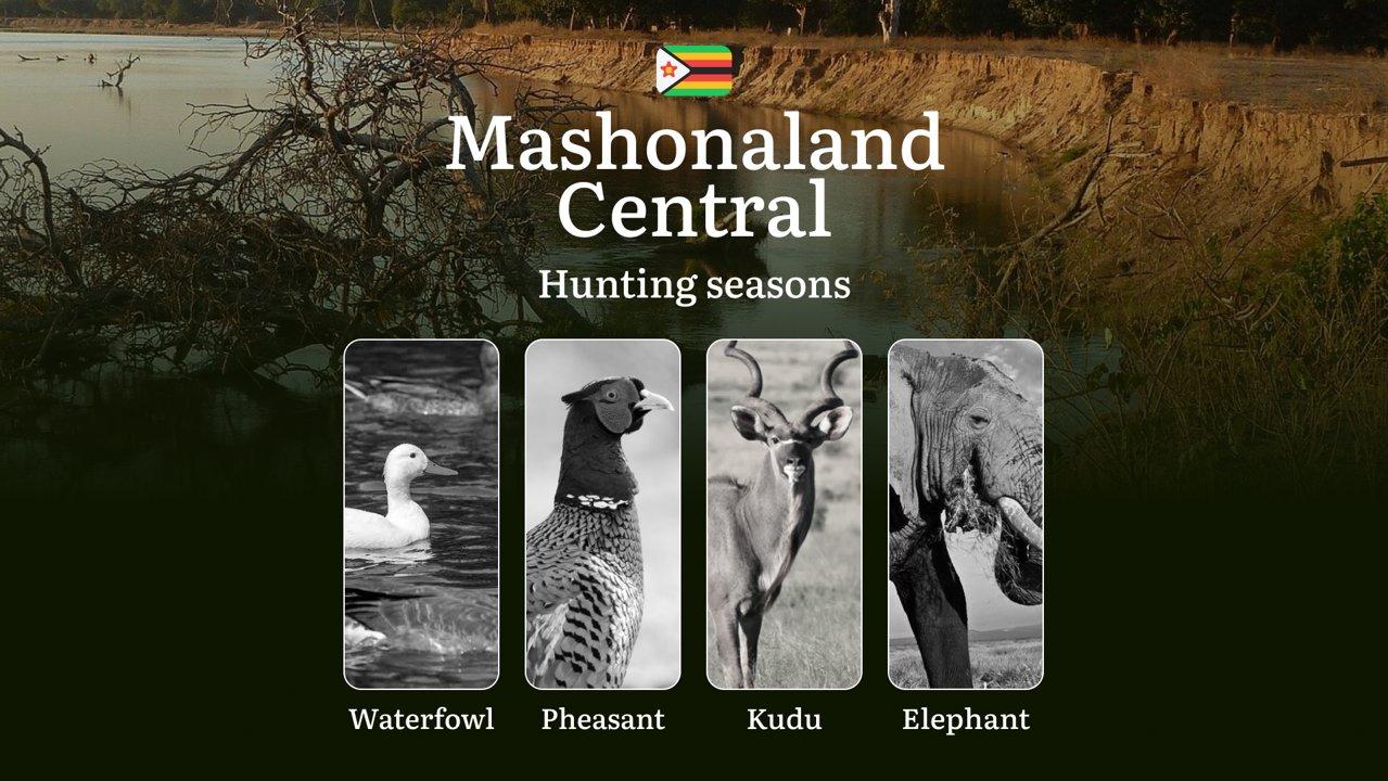 Hunting Seasons in Zimbabwe’s MASHONALAND CENTRAL: Hunting Seasonality, Licensing, Rules, Required Documents and Contacts