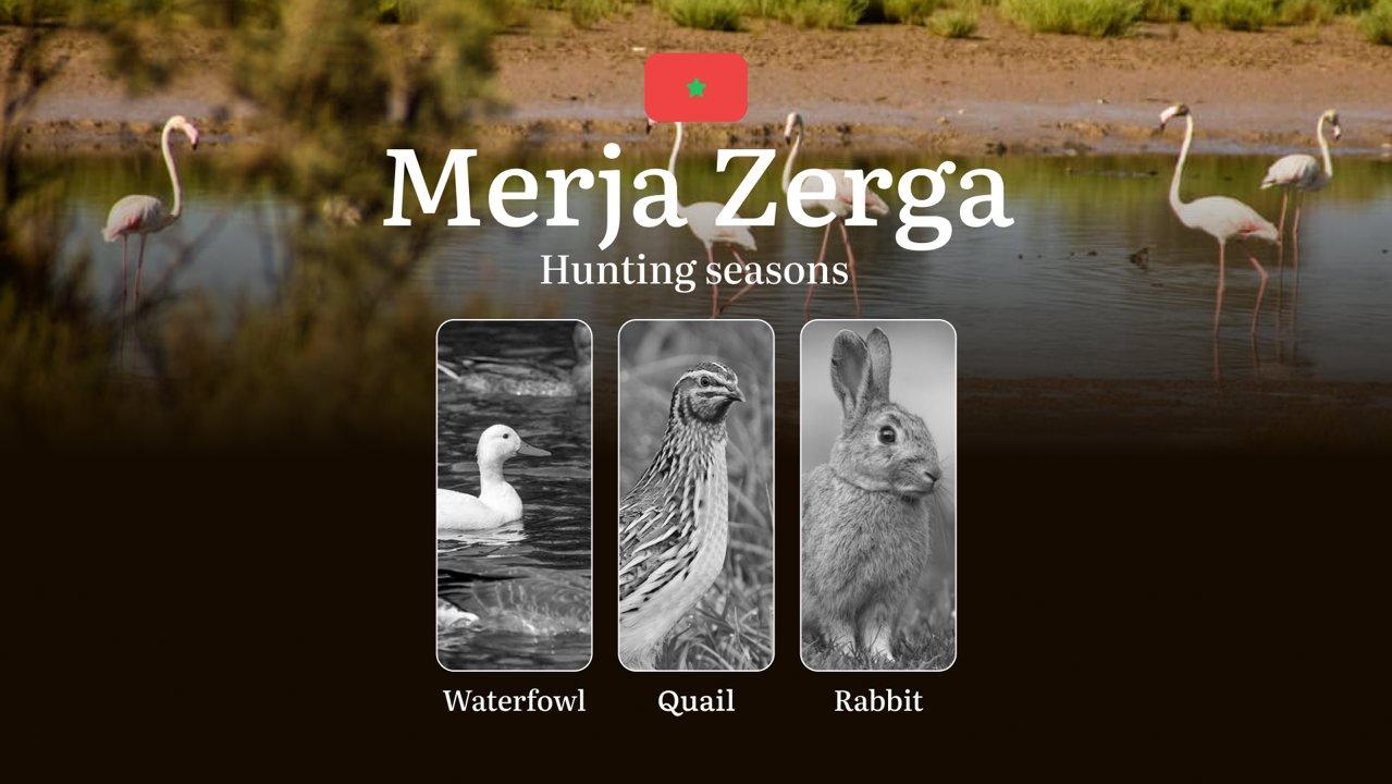 Hunting Periods and Local Rules in Merja Zerga: Species You Can Hunt Throughout the Year, Seasonal Activity of Game, and the Steps to Get a Legal Hunting License in the Region 