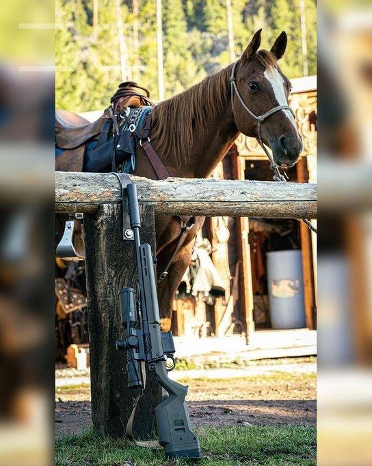 🐎 Let's <strong>ride</strong>.