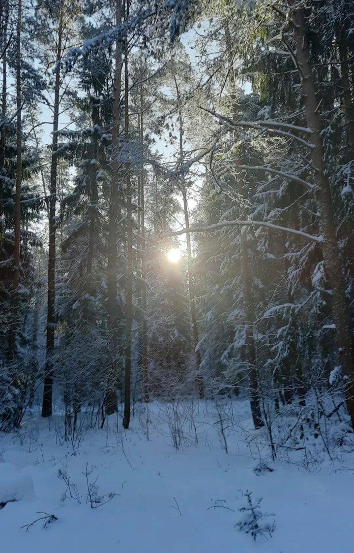Post Card