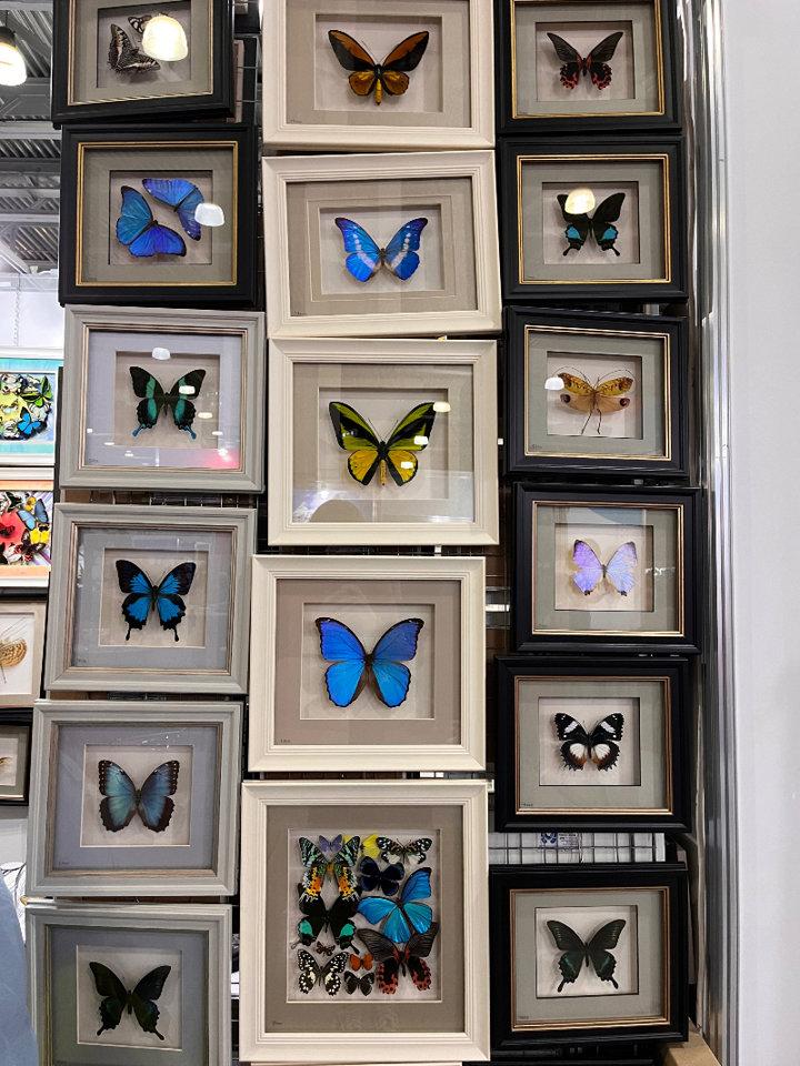 Бабочки 🦋