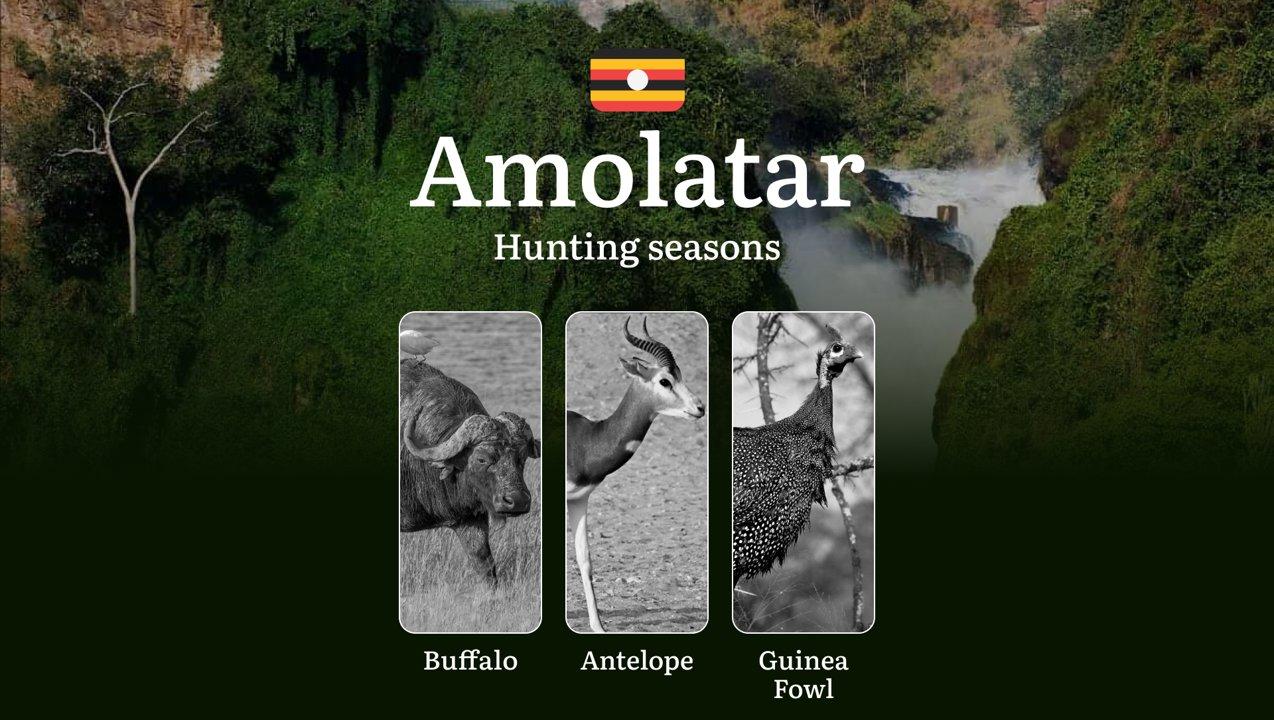 <strong>Hunting</strong> Date Ranges in Amolatar: <strong>Hunting</strong> Periods, Legal Limits and Seasonal Bans, Licensing Rules, Fines and Consequences, Strategic Pla