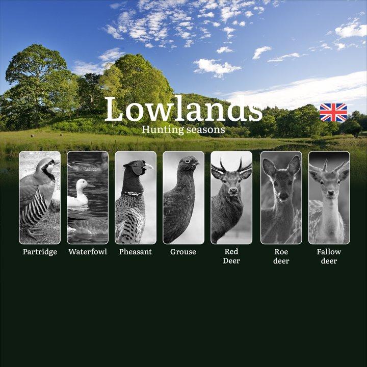 Lowlands Hunting Seasons: Official Dates, Licenses, Best Game & Tactics for Hunters