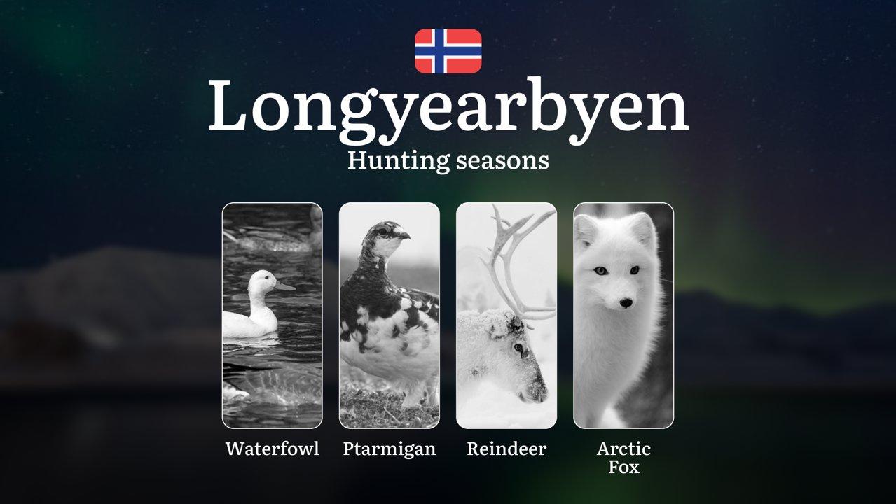 Hunting Seasons in Longyearbyen: Restrictions, Bans, and Protected Species, Choosing Timing, Gear, and Tactics

 Planning a hunting trip to Longyearbyen? Knowing the exac