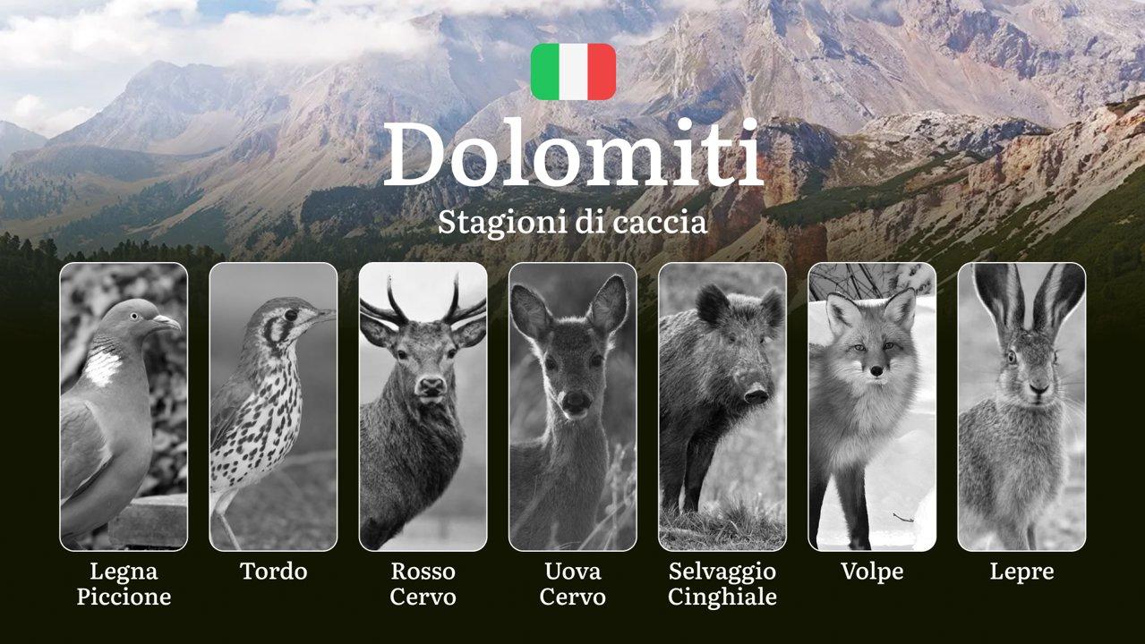 Quando Cacciare nelle Dolomiti: Aperture, Chiusure e Quote per una Caccia Sostenibile