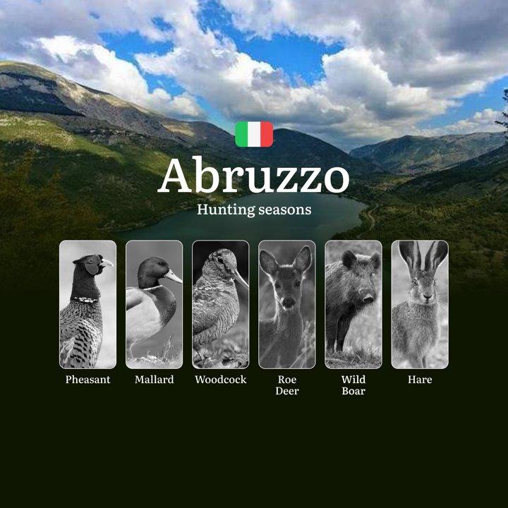 Abruzzo Hunting Seasons: Controlled Hunting Calendar in Europe's Wildest Apennine Terrain

Regulation and Hunting Periods in Abruzzo
The hunting season in Abruzzo typical