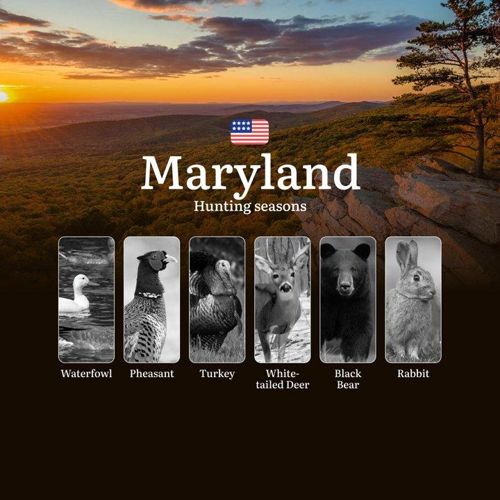 Hunting Seasons in Maryland, USA: Leases, Seasons, Open and Close Dates, Licenses, Rules for Hunting

General Hunting Rules and Season Dates in Maryland

Hunting in Maryl