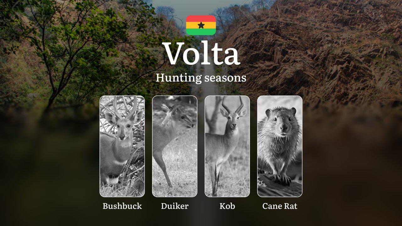 Hunting in Volta: Understanding Hunting Calendar, Legal Permits and Restrictions, Local Hunting Traditions