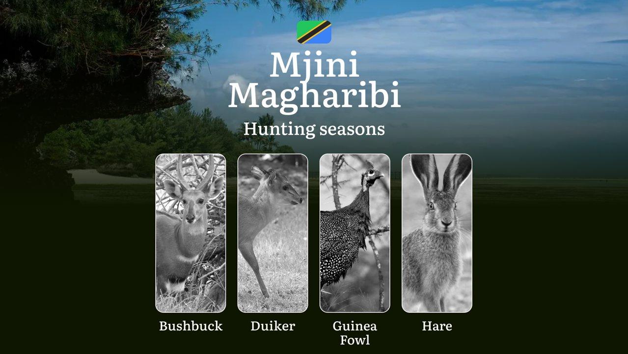 Designated <strong>Hunting</strong> Months in Mjini Magharibi: Regional Guidelines, <strong>Hunting</strong> License Application Process, Penalties for Off-Season <strong