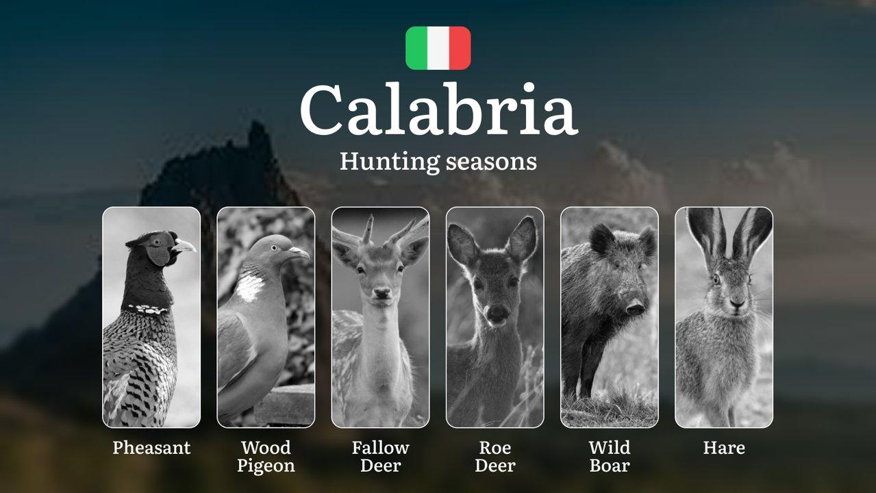 Calabria Hunting Seasons: Rare Winter Permits in the Sila and Aspromonte National Parks, Tips and Secrets

Regulation and Hunting Periods in Calabria

The hunting season 