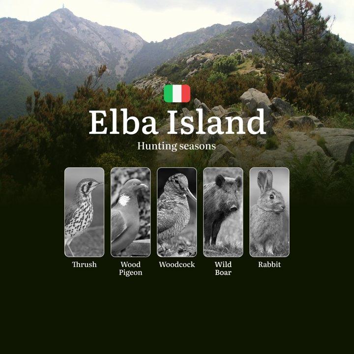 Elba's Hunting Secrets: Mastering Seasons, Permits & Island Traditions in Tuscany's Crown Jewel