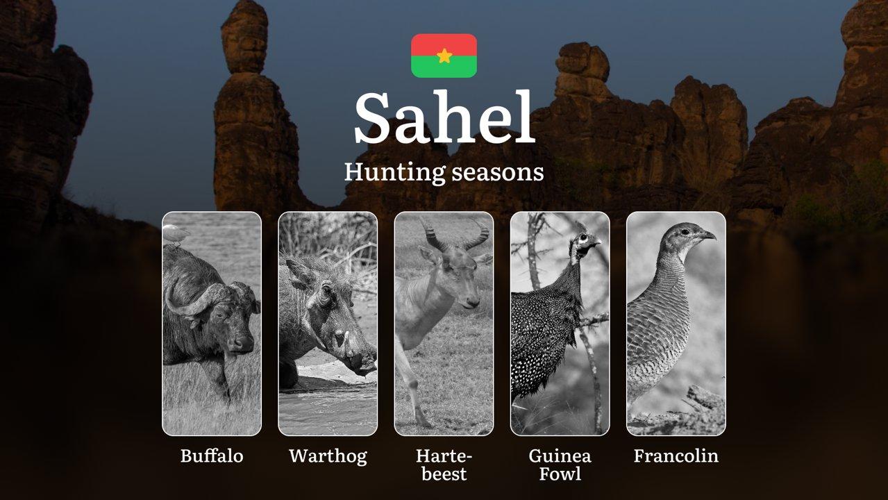 Hunting Seasons in Burkina Faso’s SAHEL: Main Hunting Periods, General Rules, Obtaining Hunting Licenses and Practical Tips