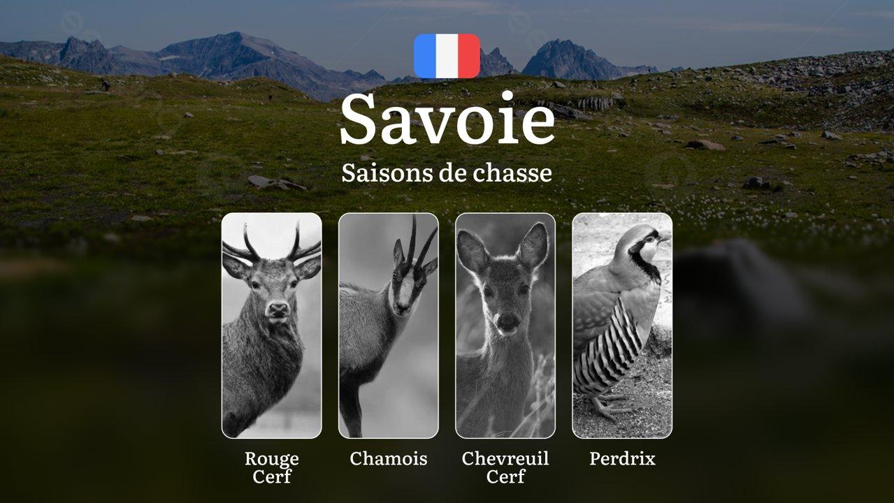 Saisons de chasse en SAVOIE: Restrictions à Connaître, Spécificités Saisonnières, Dates et Règles de Chasse, Risques en Cas de Non-Respect des Règles