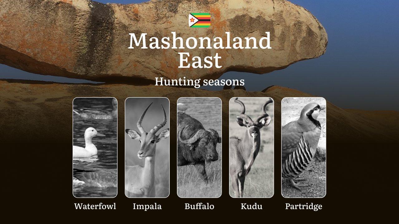 Zimbabwe's MASHONALAND EAST: Hunting Seasons, Permits and Rules for Successful Hunting, Penalties for Violating Hunting Regulations