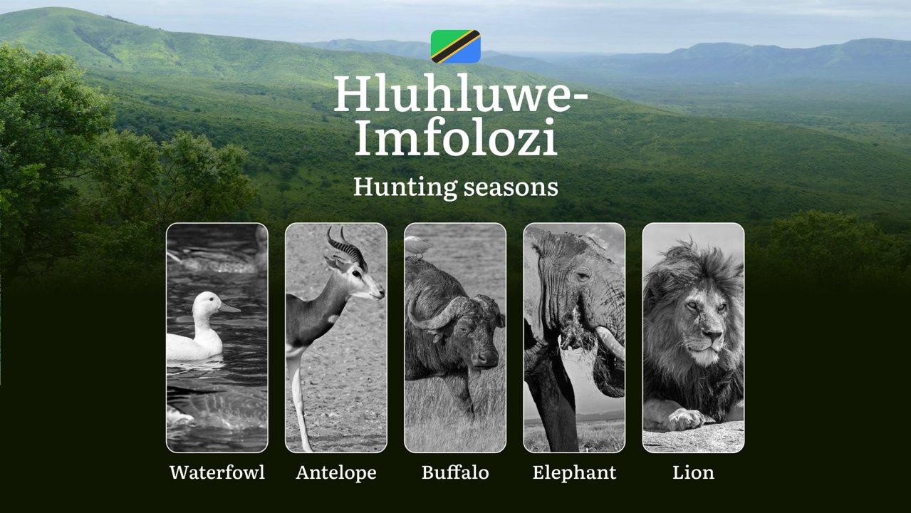 Hunting Dates in South Africa: Hluhluwe-Imfolozi Region – Hunting Periods, Licenses, Rules and Times for Game, Tips for Hunters

Hunting Regulations and Timeframes in Hlu