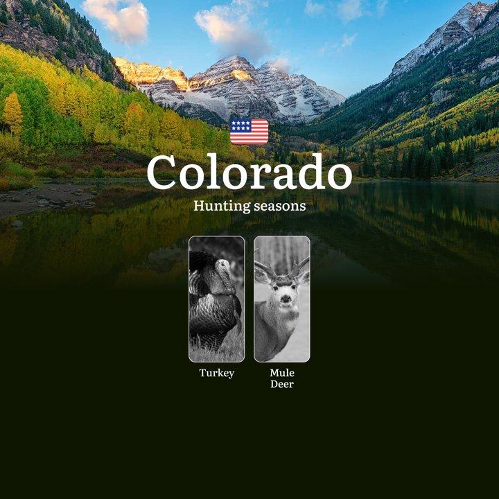 United States, Colorado: Hunting Seasons, Regulations, Licenses and Consequences for Violating Hunting, General Rules and Hunting Dates

Colorado is not only known for it