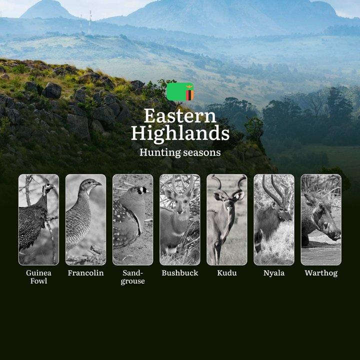 Mists & Magnums: The Eastern Highlands Hunting Calendar – Where Seasons, Species & Sustainability Collide