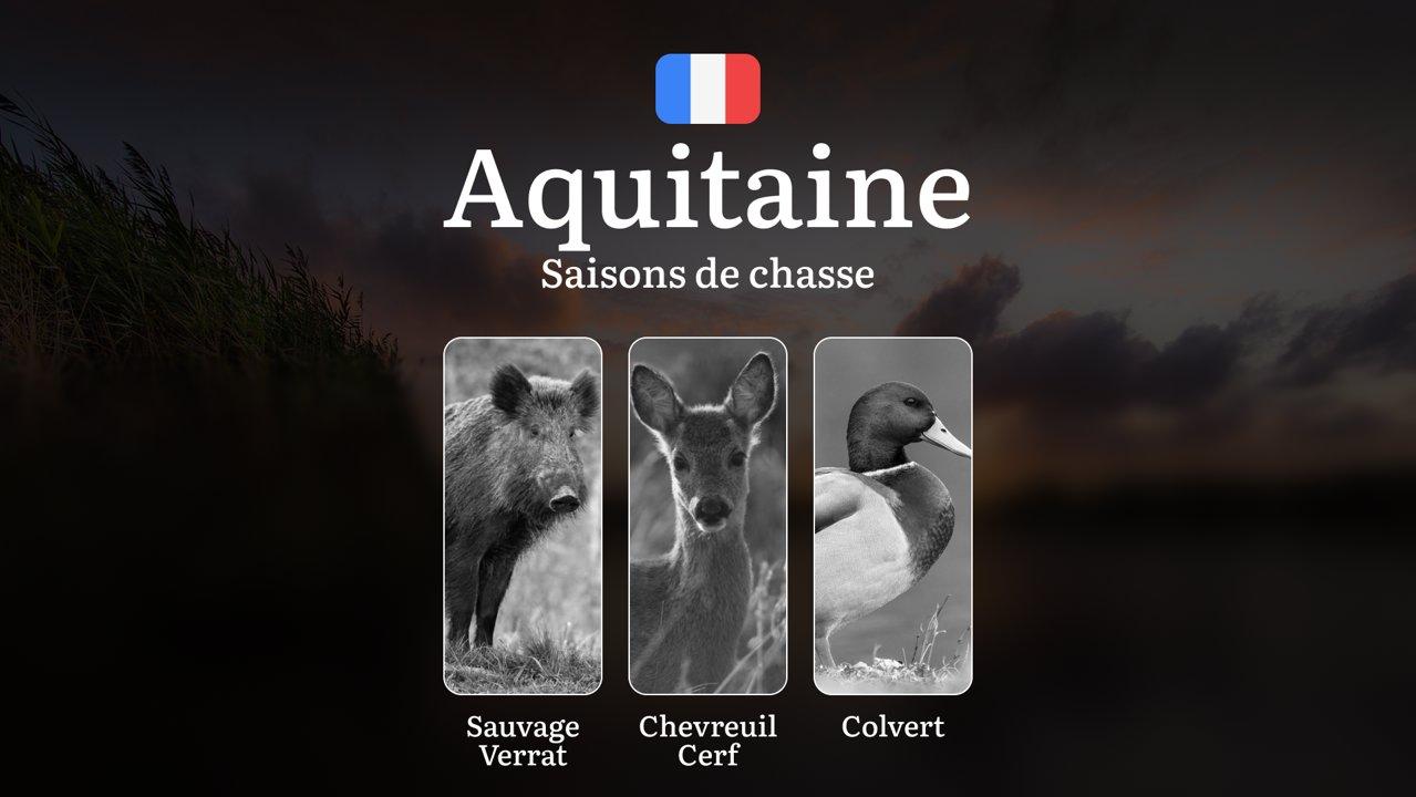 Saisons de Chasse en AQUITAINE: Calendrier Complet, Réglementation Locale, Obtention des Autorisations, Restrictions et Protection de la Faune