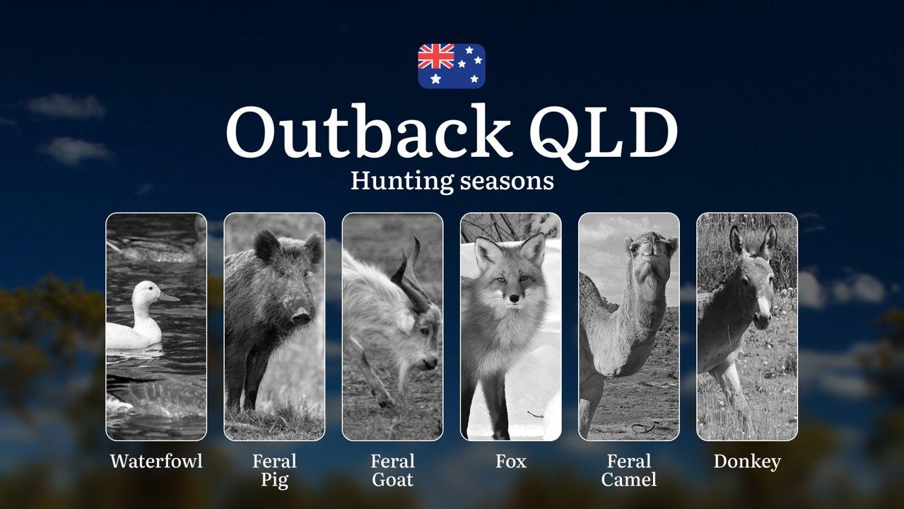 Outback Queensland's Hunting Calendar: When the Red Earth Yields Its Bounty - Seasons, Strategies and Remote Pursuits