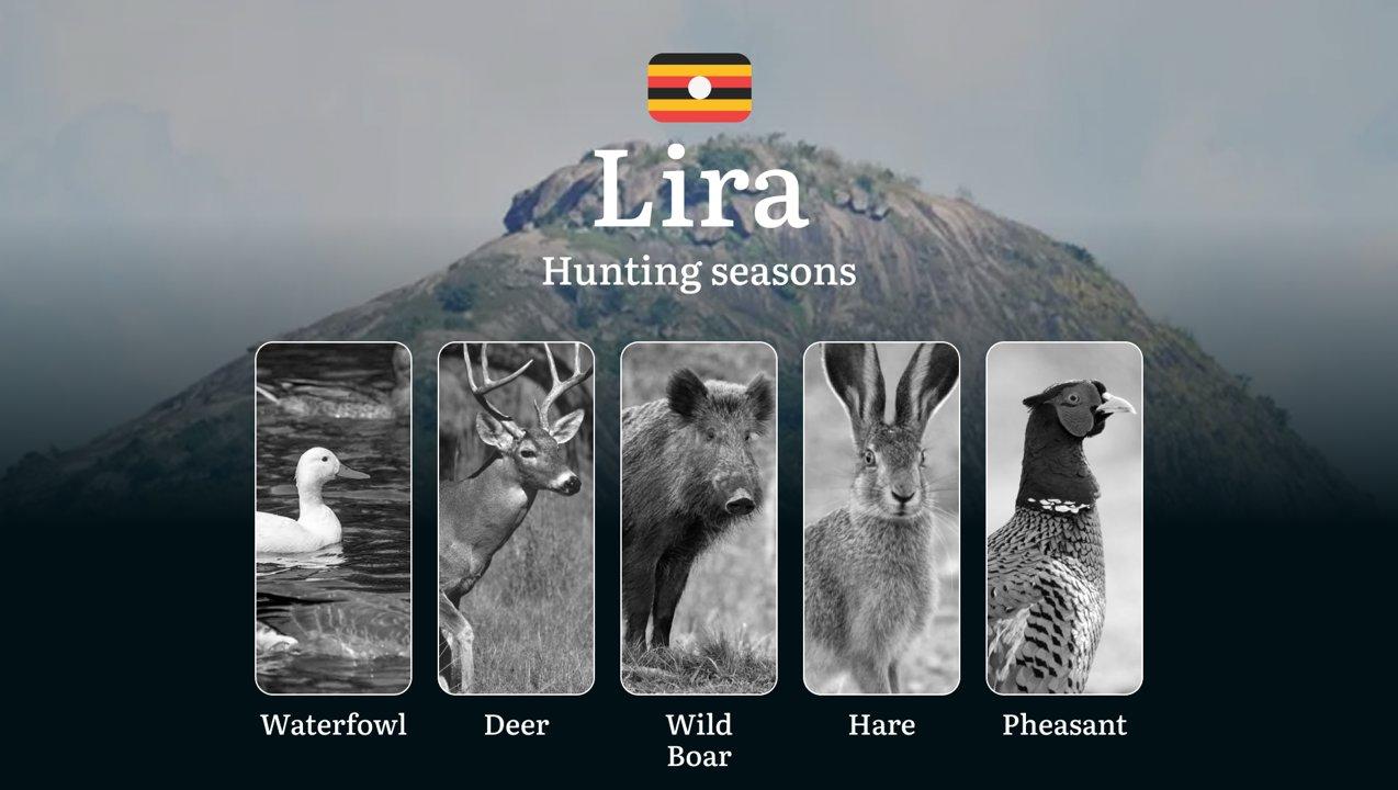 Hunting Access Dates in Lira: Key Hunting Periods, Restrictions, Licensing, Penalties, Gear, Locations, and Timing