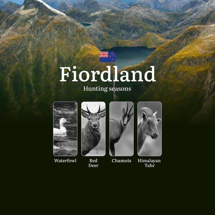 FIORDLAND: Rules, Timing, and Best Periods for Trophy Hunting, Hunting Seasons, Animal Species