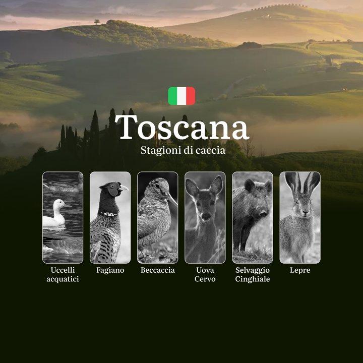 Caccia <strong>in</strong> Toscana: Stagioni, Licenze, Regolamenti e Consigli per una Pratica Sostenibile

Principali periodi di caccia nella regione  <strong>in</strong>