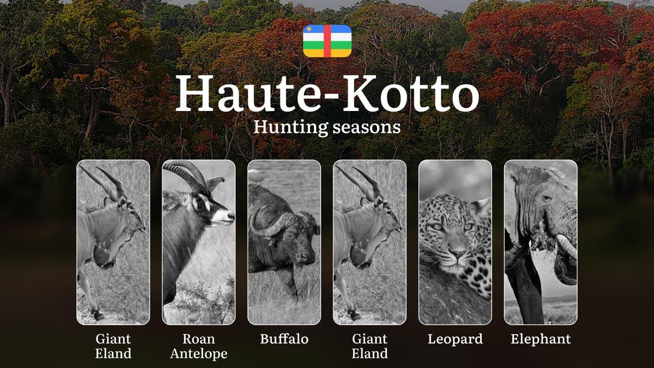 Hunting in Haute-Kotto: Understanding Hunting Calendar, Legal Permits and Restrictions, Local Hunting Traditions

General Hunting Rules and Seasons in Haute-Kotto

The of